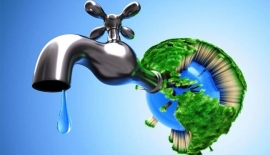 روز جهانی آب و جنگل